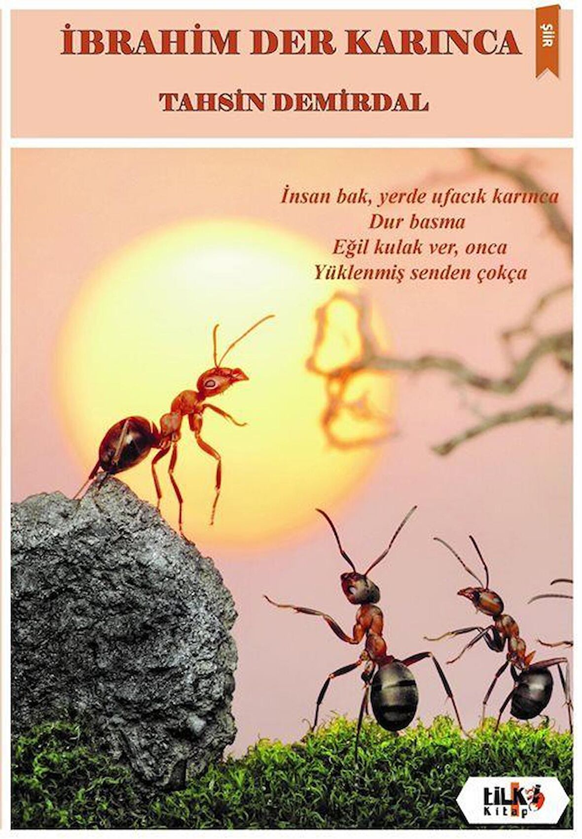 İbrahim Der Karınca