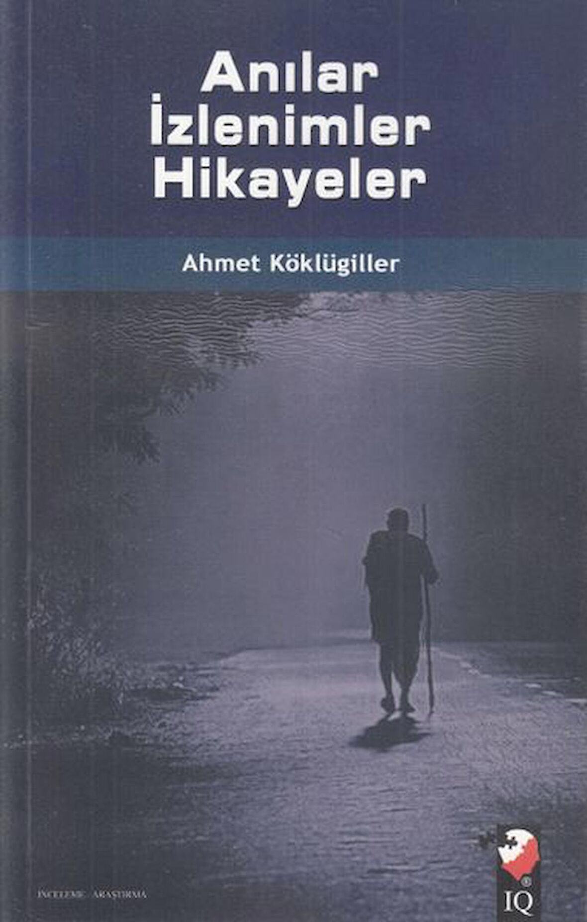 Anılar İzlenimler Hikayeler