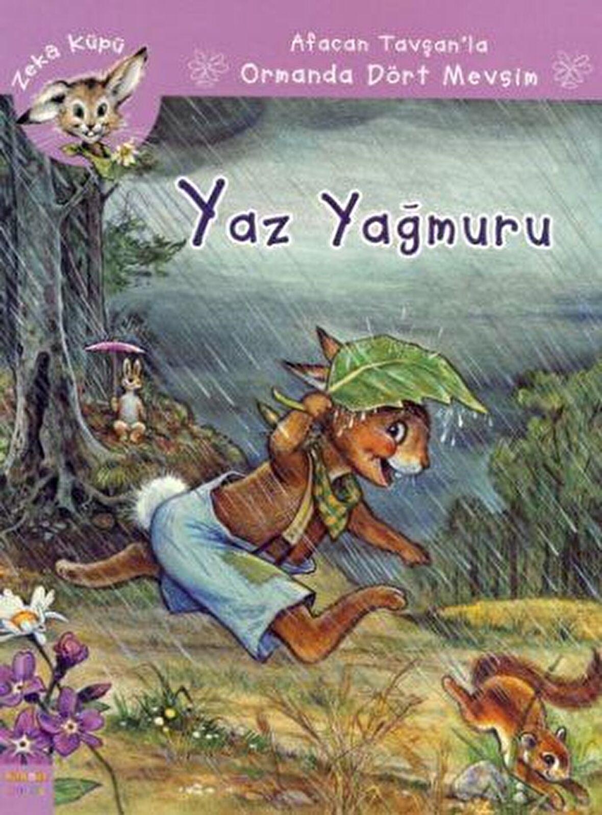 Afacan Tavşanla Ormanda Dört Mevsim / Yaz Yağmuru
