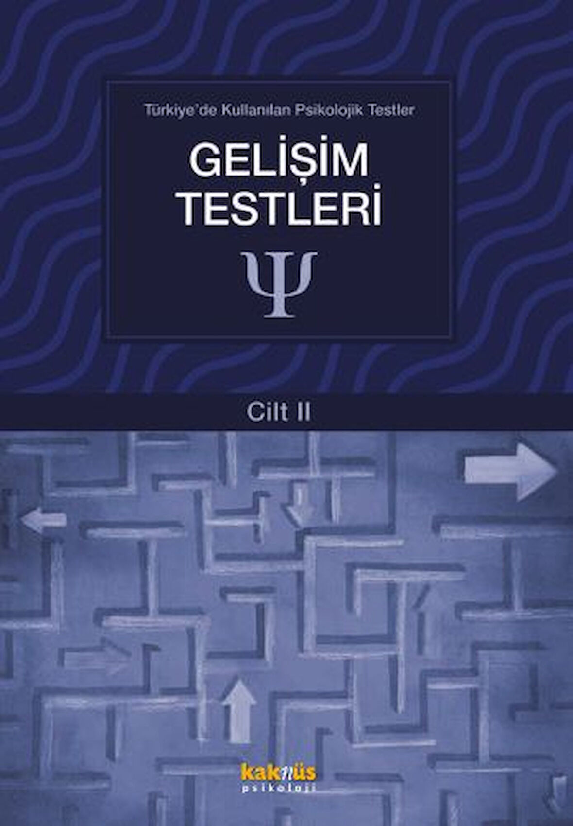 Türkiye'de Kullanılan Psikolojik Testler Cilt 2 - Gelişim Testleri