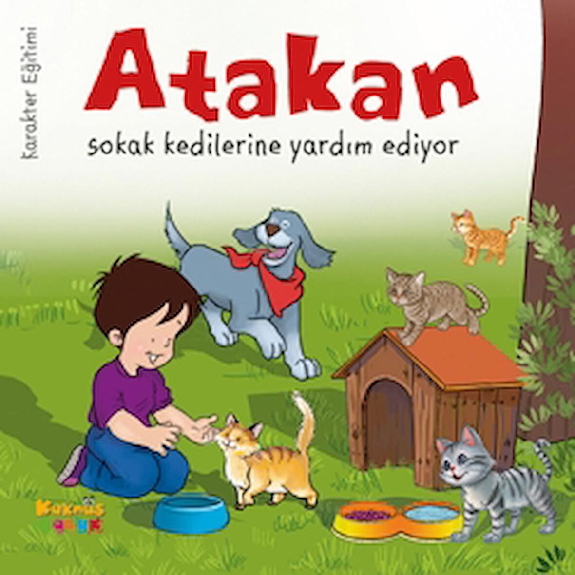 Atakan Sokak Kedilerine Yardım Ediyor