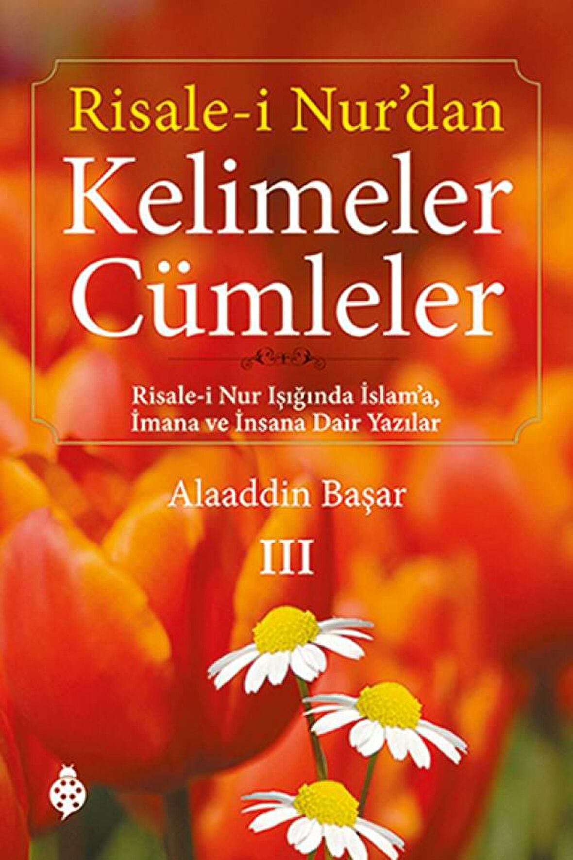 Risale-i Nur’dan Kelimeler Cümleler 3