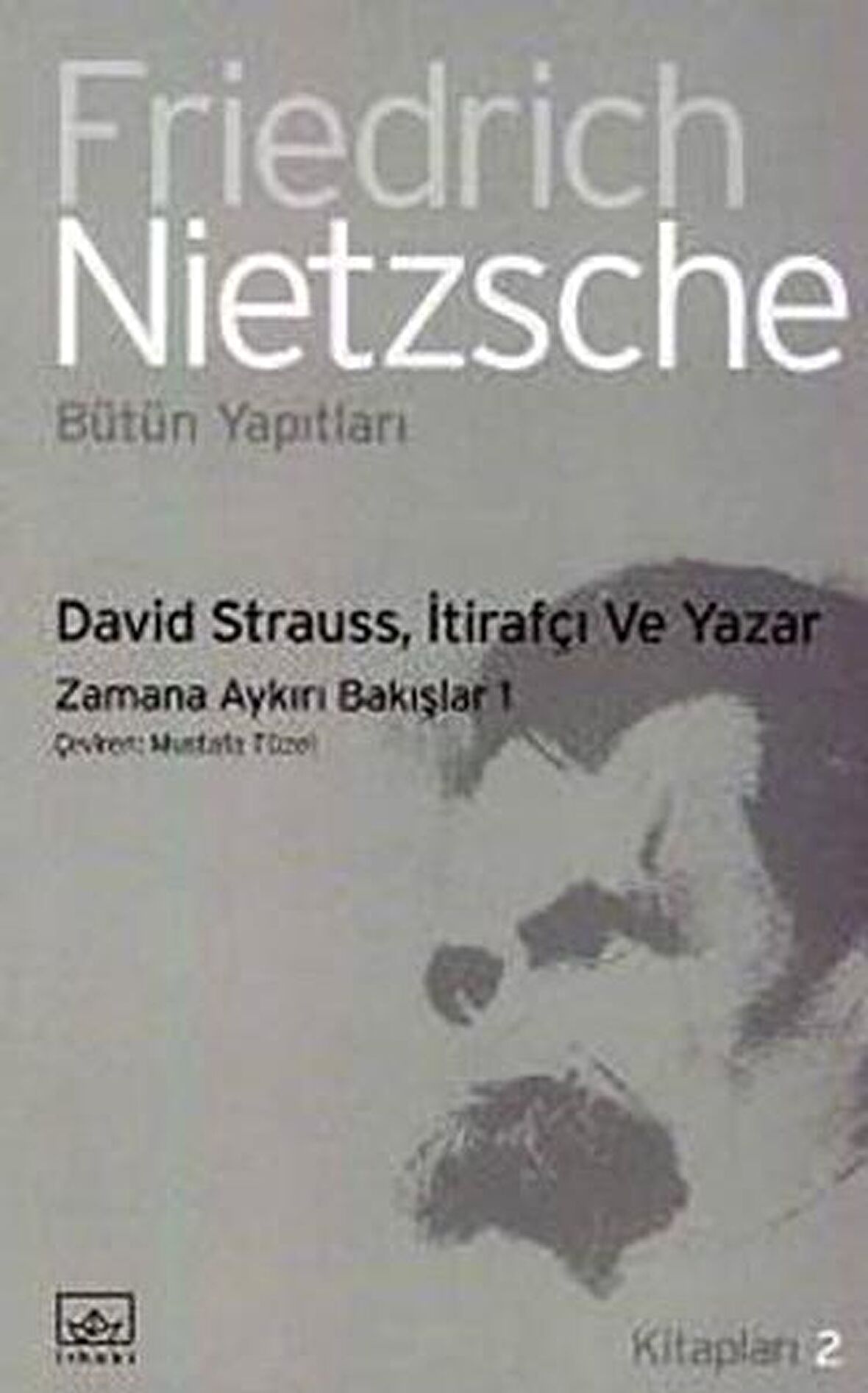 David Strauss, İtirafçı ve Yazar