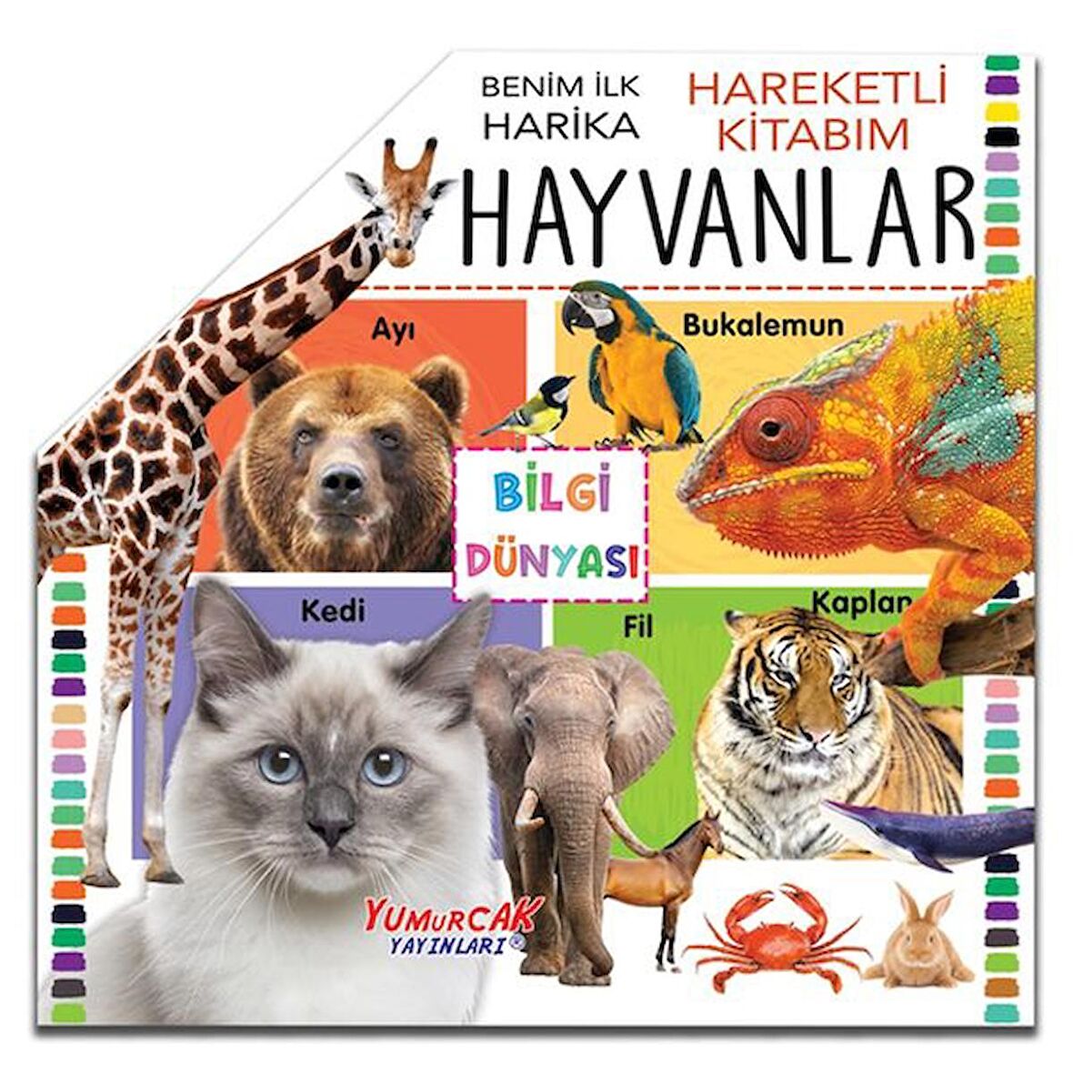 Benim İlk Hareketli Kitabım Hayvanlar