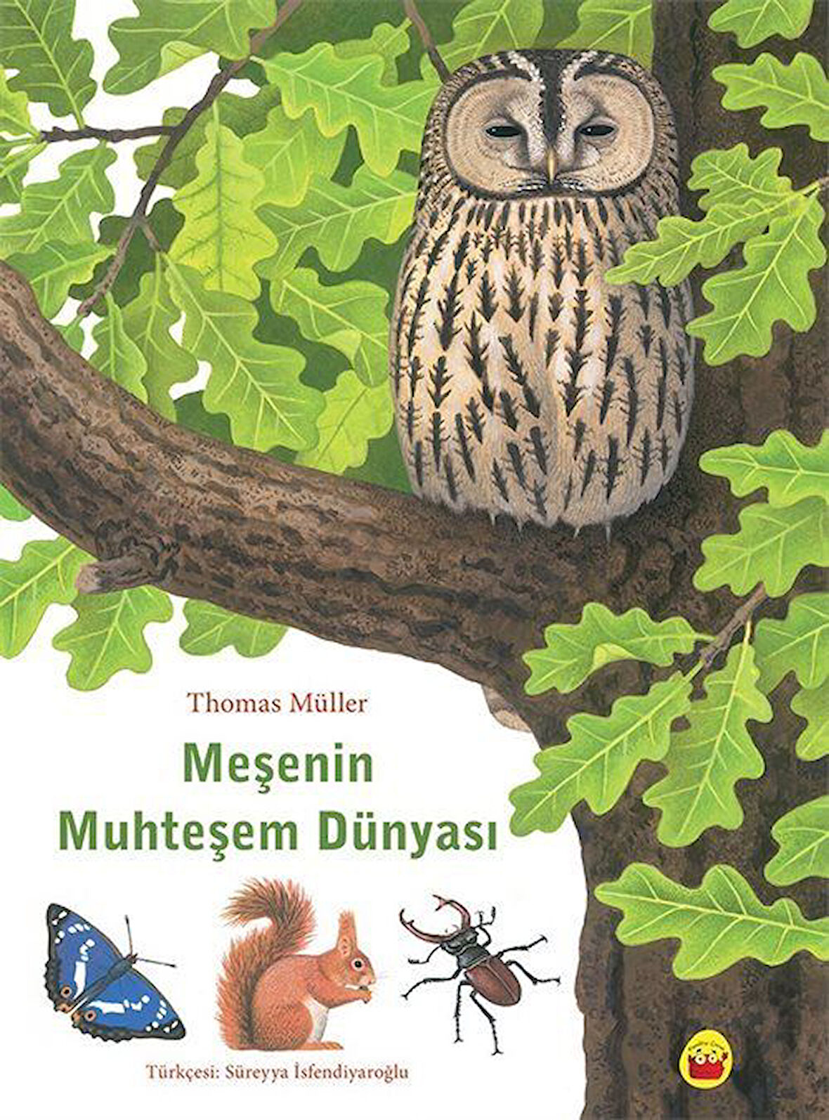 Muhteşem Meşe'nin Dünyası / Thomas Müller