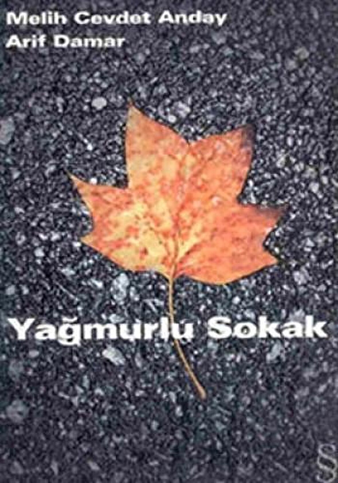 Yağmurlu Sokak