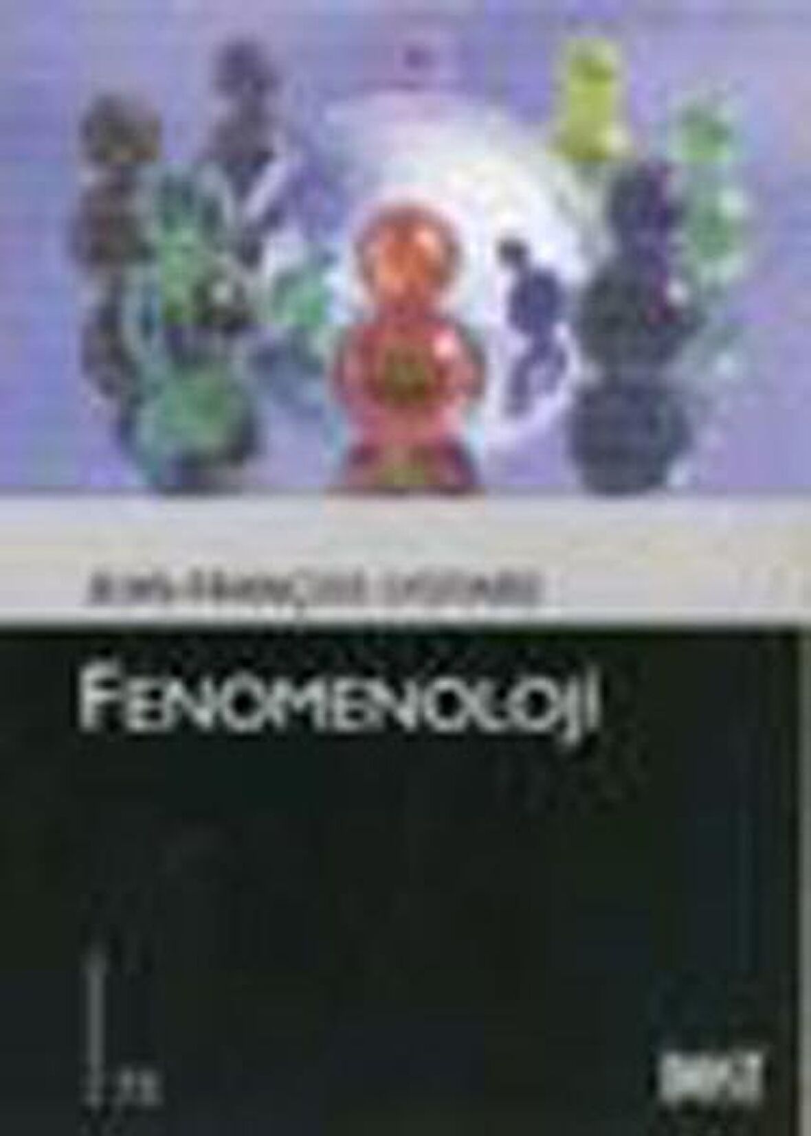 Fenomenoloji