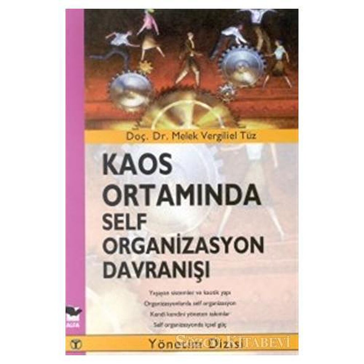 Kaos Ortamında Self Organizasyon Davranışı