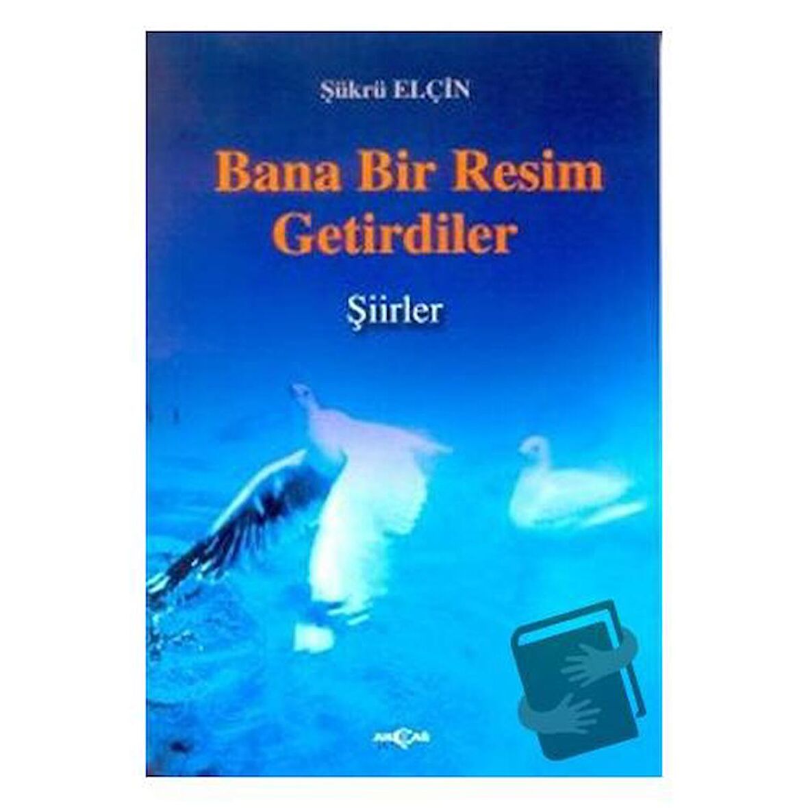 Bana Bir Resim Getirdiler