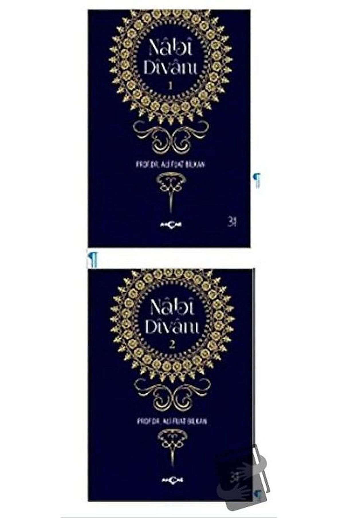 Nabi Divanı (2 Kitap Takım)