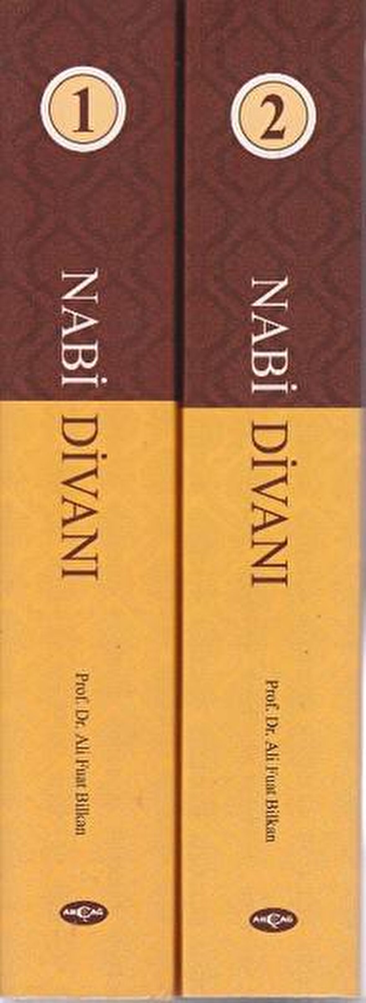 Nabi Divanı 2. Cilt