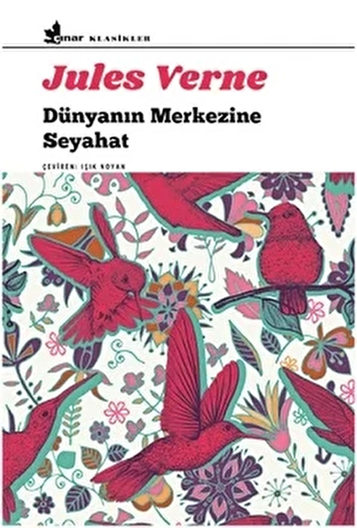 Dünyanın Merkezine Seyahat