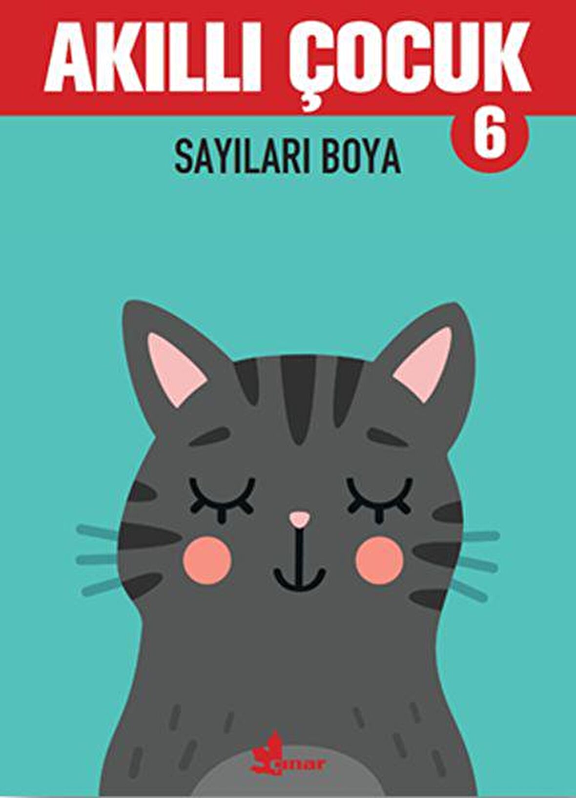 Sayıları Boya - Akıllı Çocuk 6