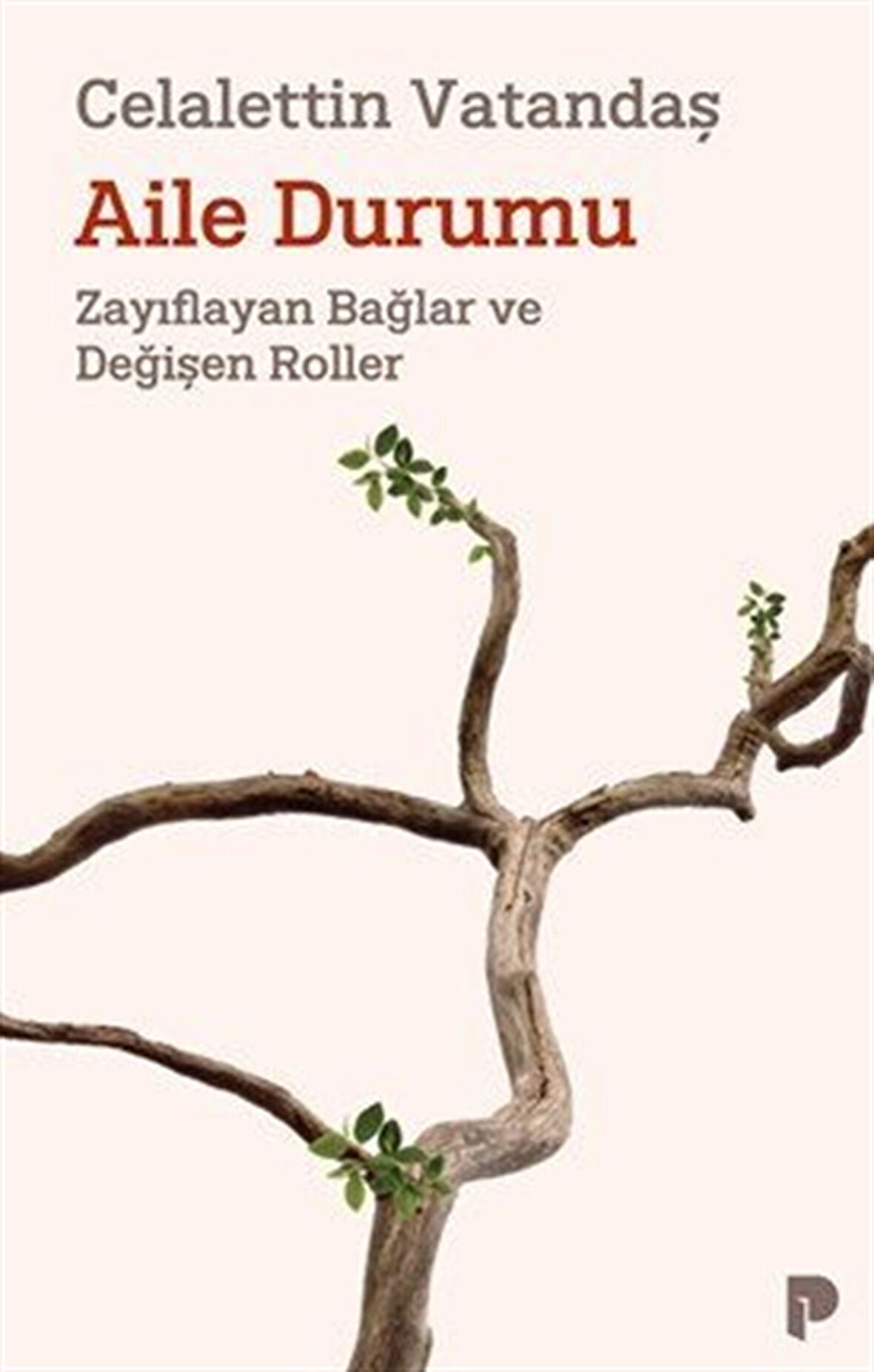 Aile Durumu & Zayıflayan Bağlar ve Değişen Roller / Celaleddin Vatandaş