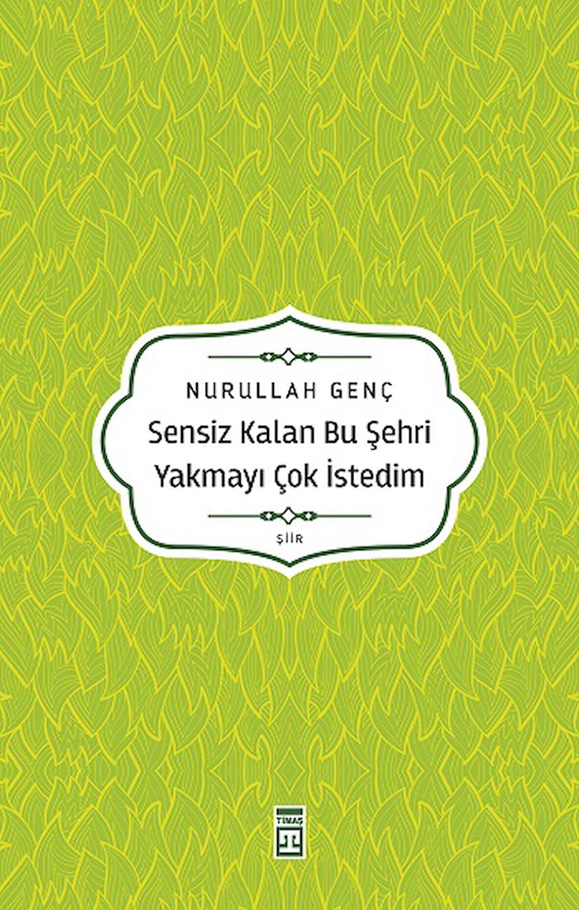 Sensiz Kalan Bu Şehri Yakmayı Çok İstedim