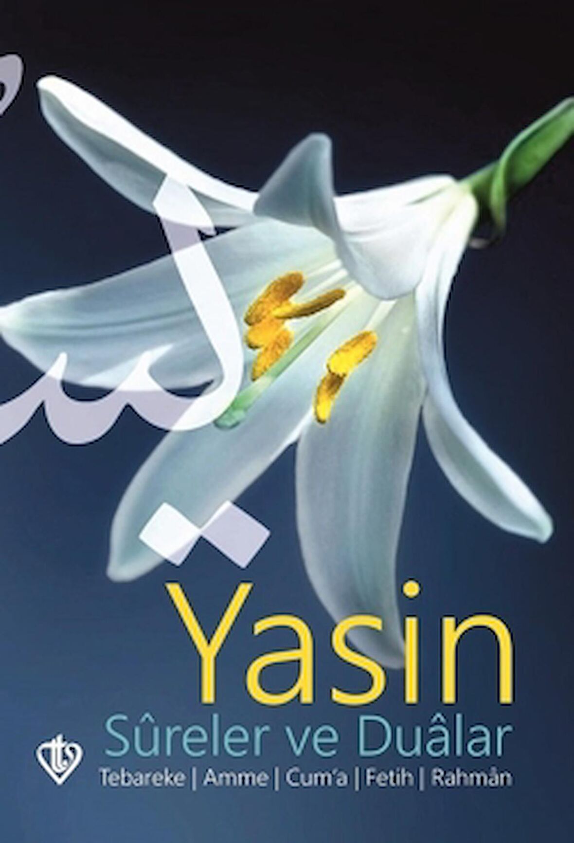 Yasin Kitabı (Türkçe Sureler ve Dualar)