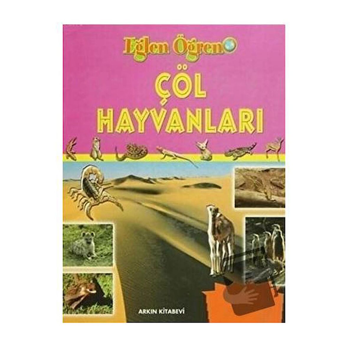 Çöl Hayvanları