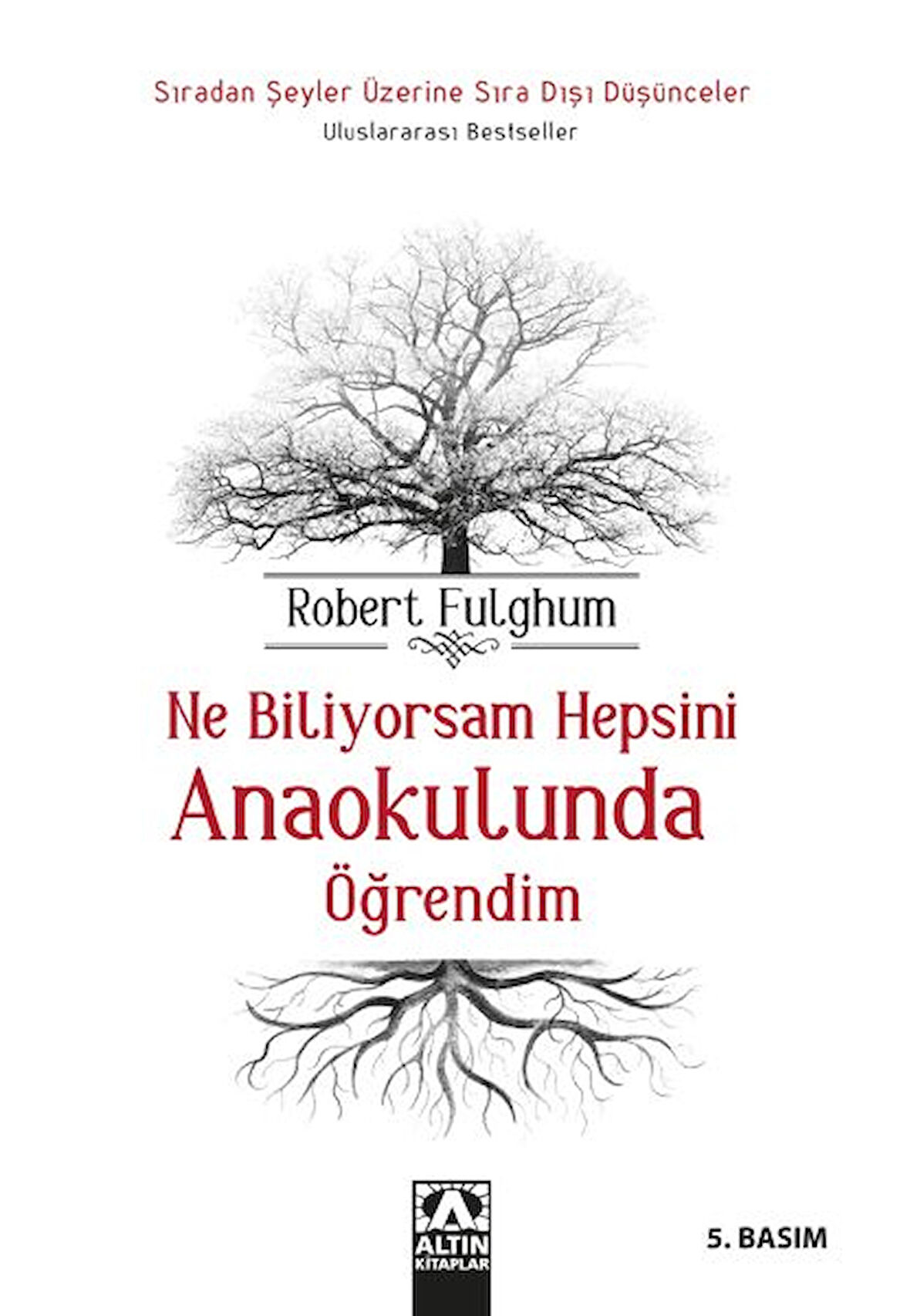 Ne Biliyorsam Hepsini Anaokulunda Öğrendim