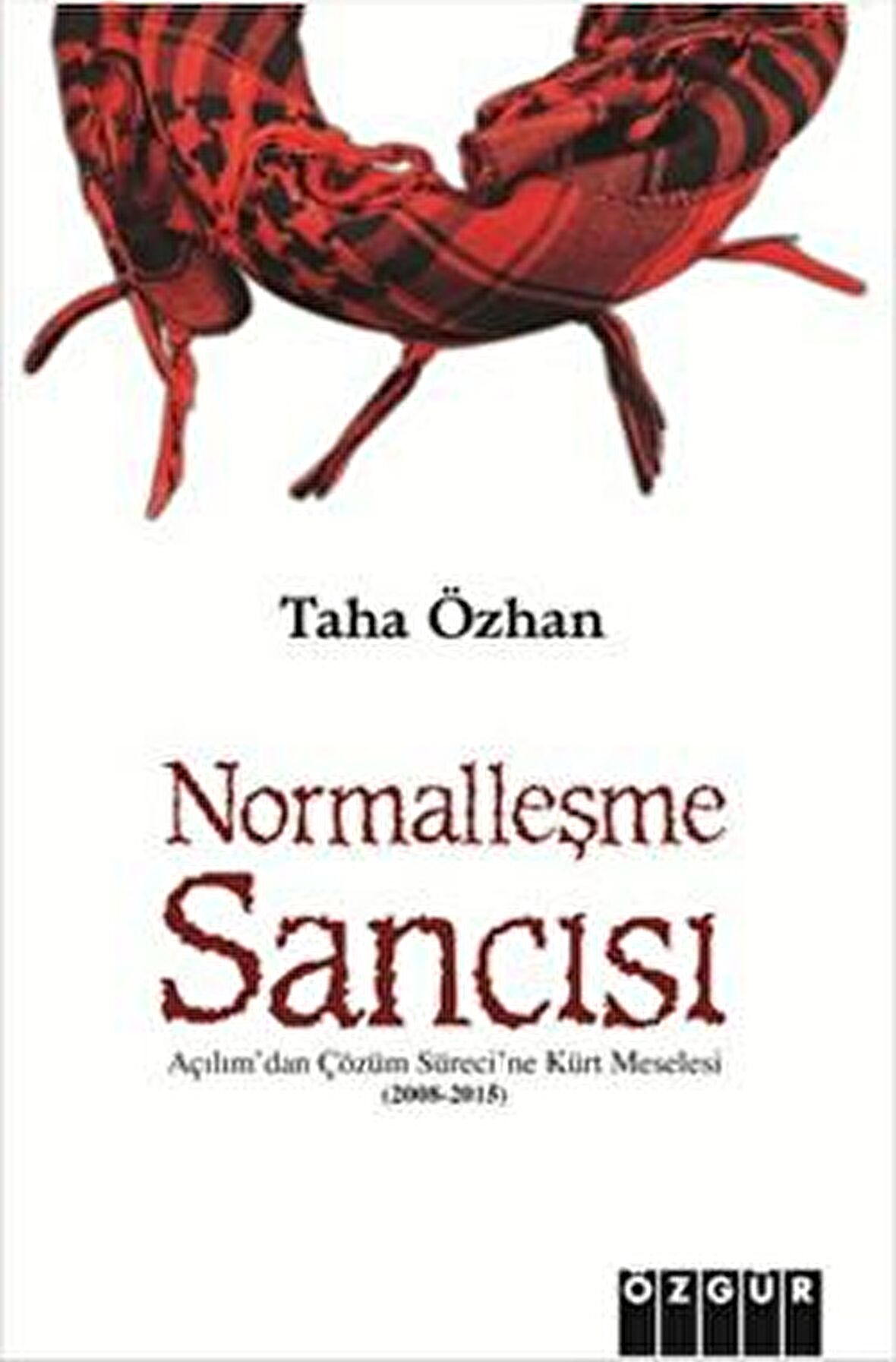 Normalleşme Sancısı