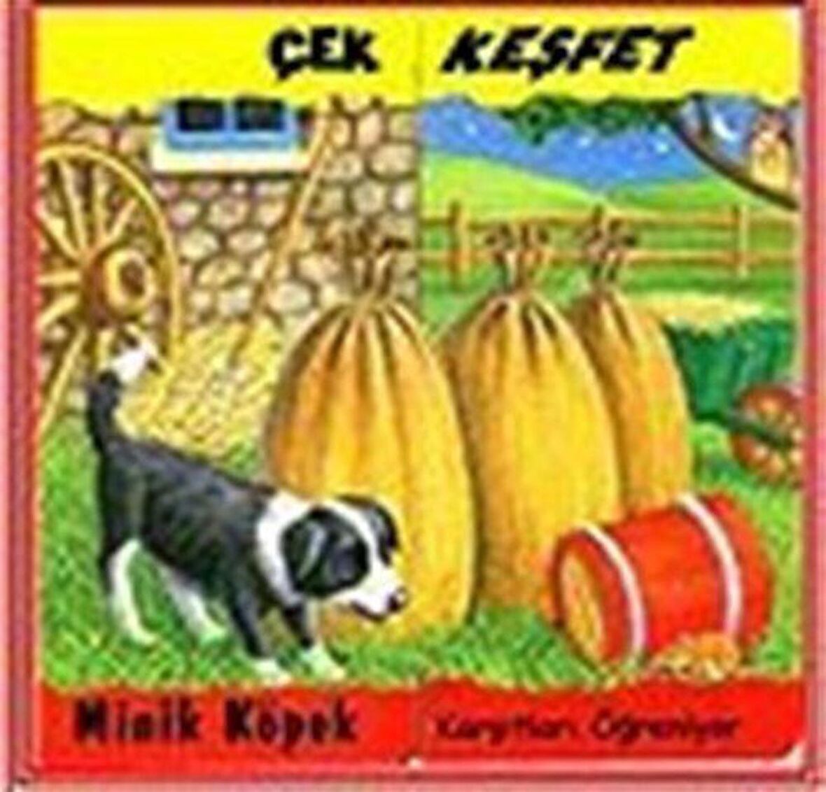 Minik Köpek-Karşıtları Öğreniyor / Çek Keşfet / Kathryn Smith