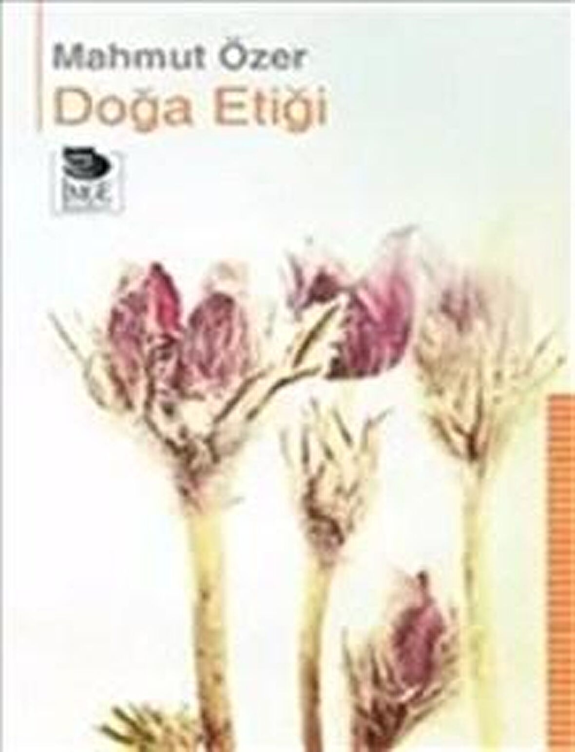 Doğa Etiği