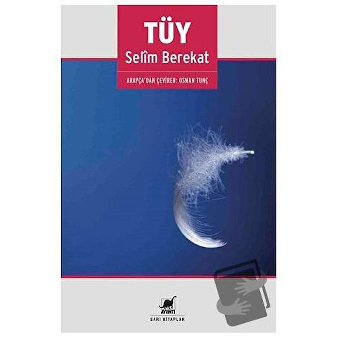 Tüy