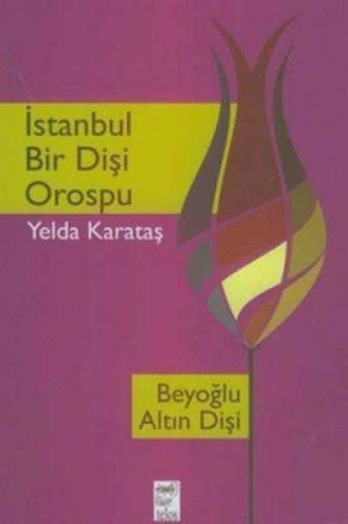 İstanbul Bir Dişi Orospu