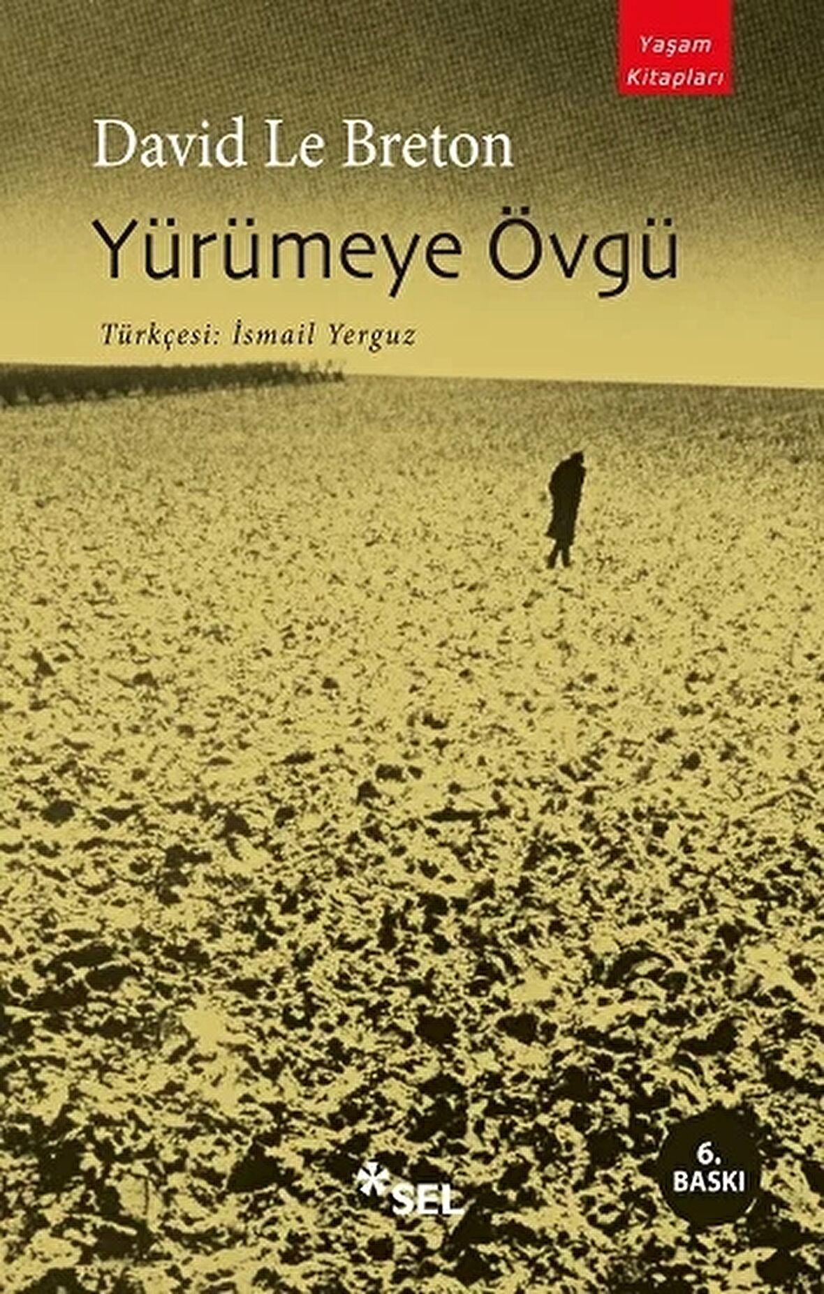 Yürümeye Övgü