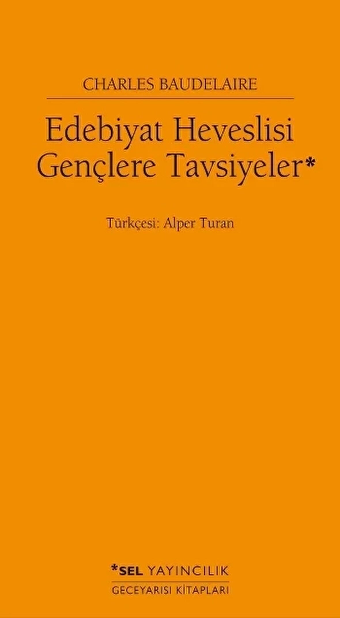 Edebiyat Heveslisi Gençlere Tavsiyeler