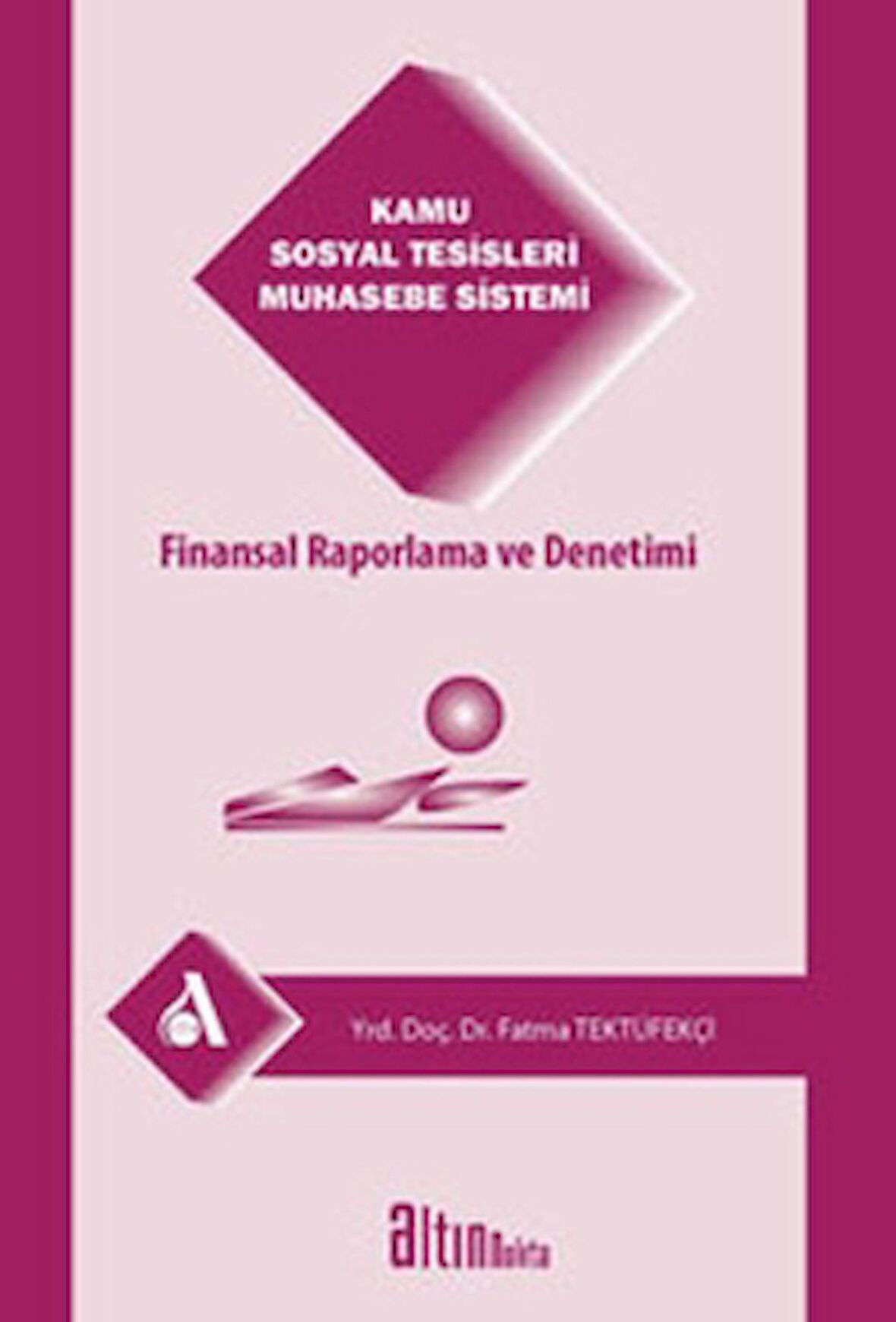 Kamu Sosyal Tesisleri Muhasebe Sistemi Finansal Raporlama ve Denetimi