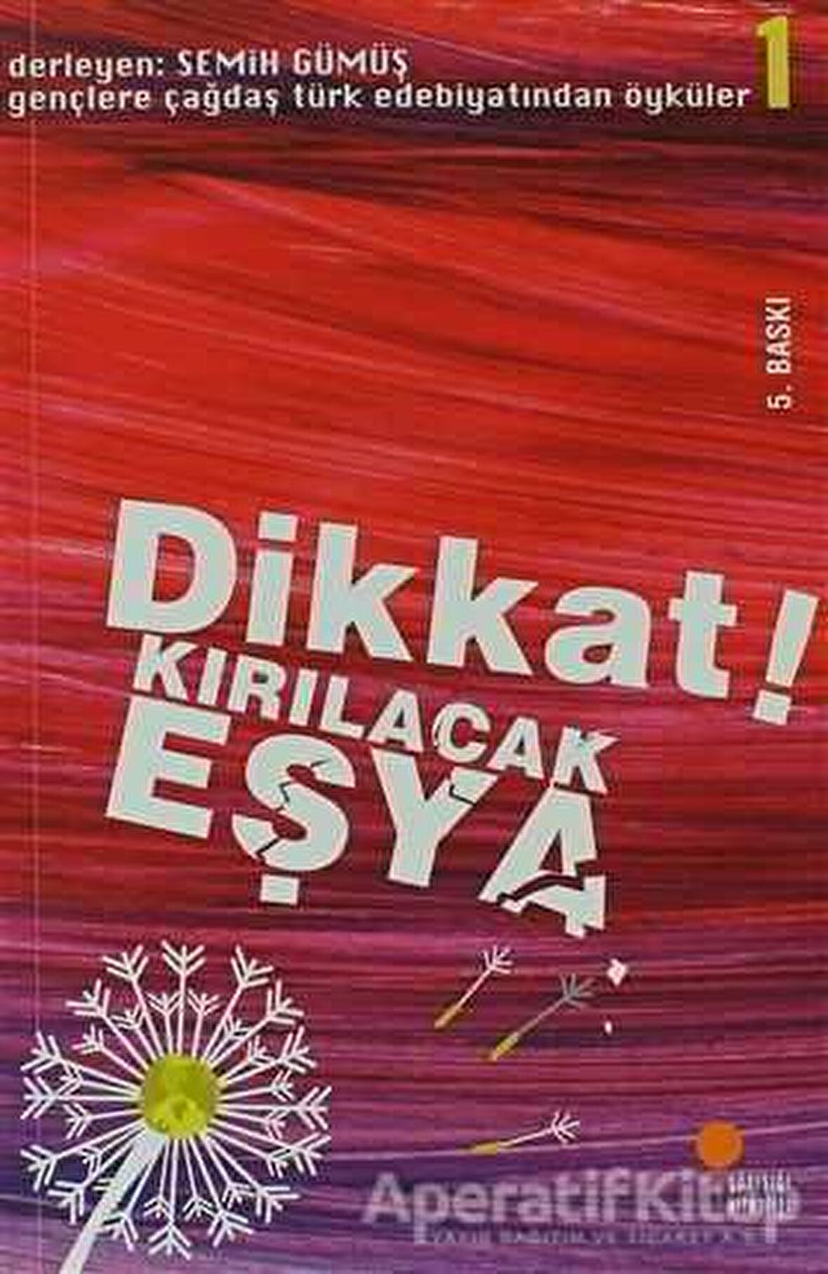 Dikkat! Kırılacak Eşya