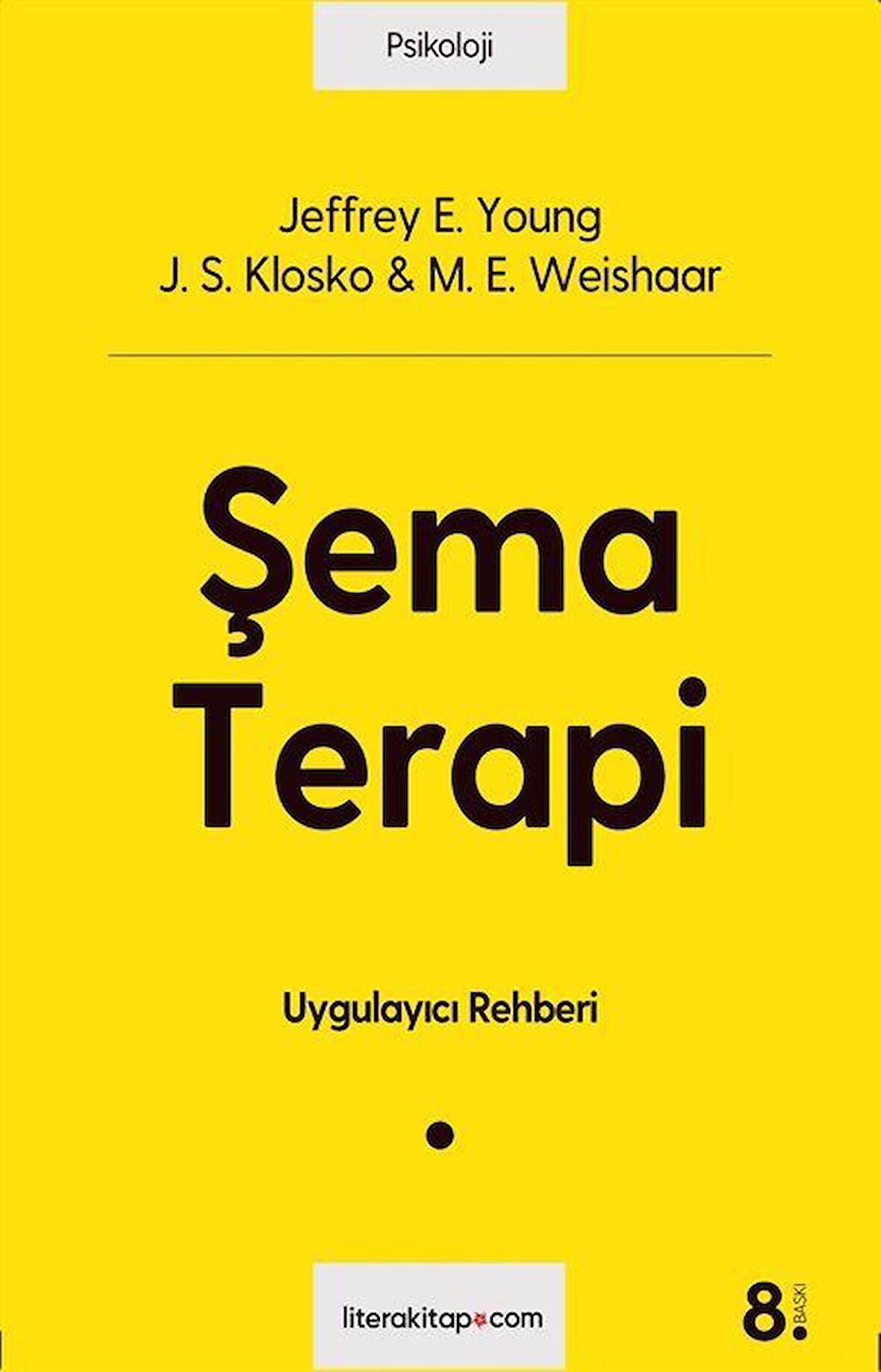 Şema Terapi