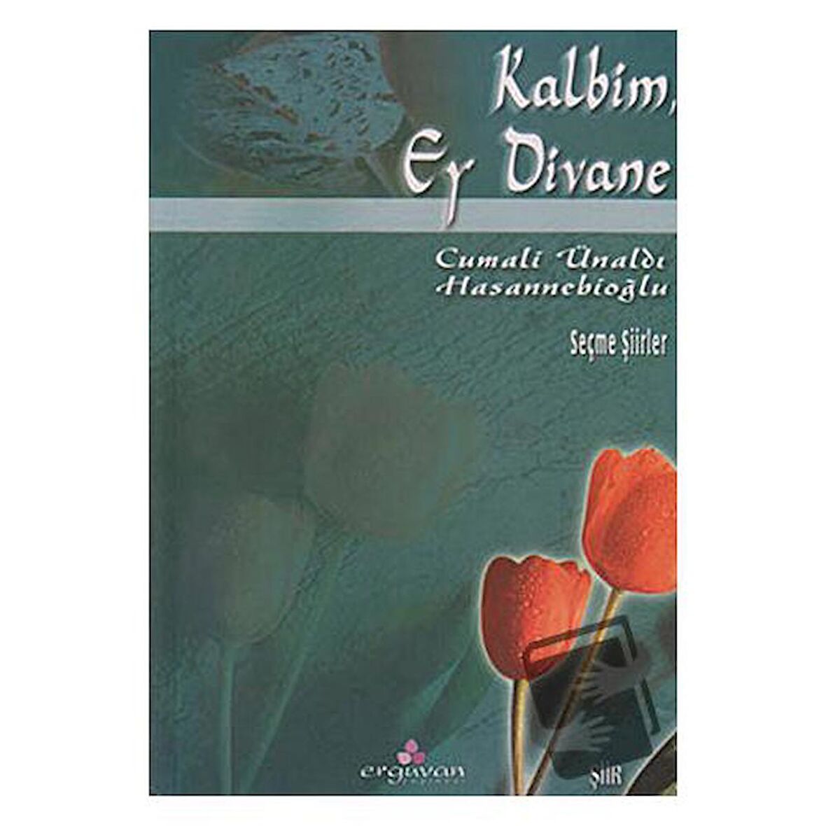 Kalbim, Ey Divane / Erguvan Yayınevi / Cemali Ünaldı Hasannebioğlu