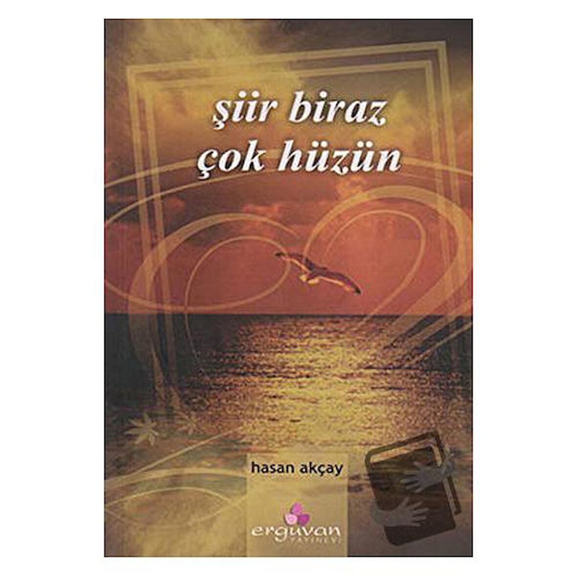 Şiir Biraz Çok Hüzün / Erguvan Yayınevi / Hasan Akçay