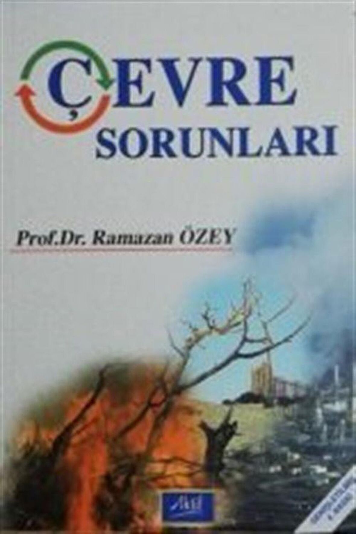 Çevre Sorunları