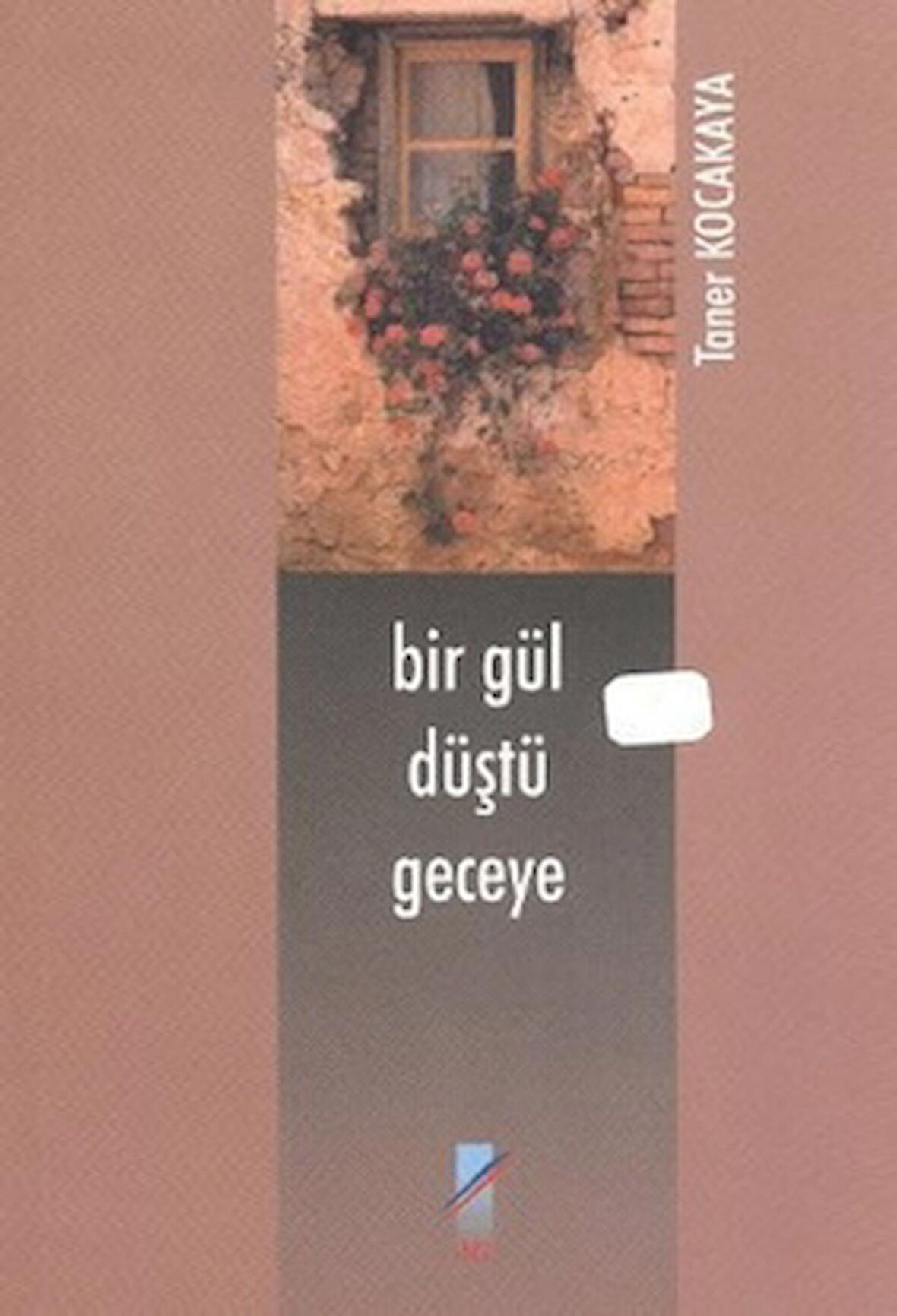 Bir Gül Düştü Geceye