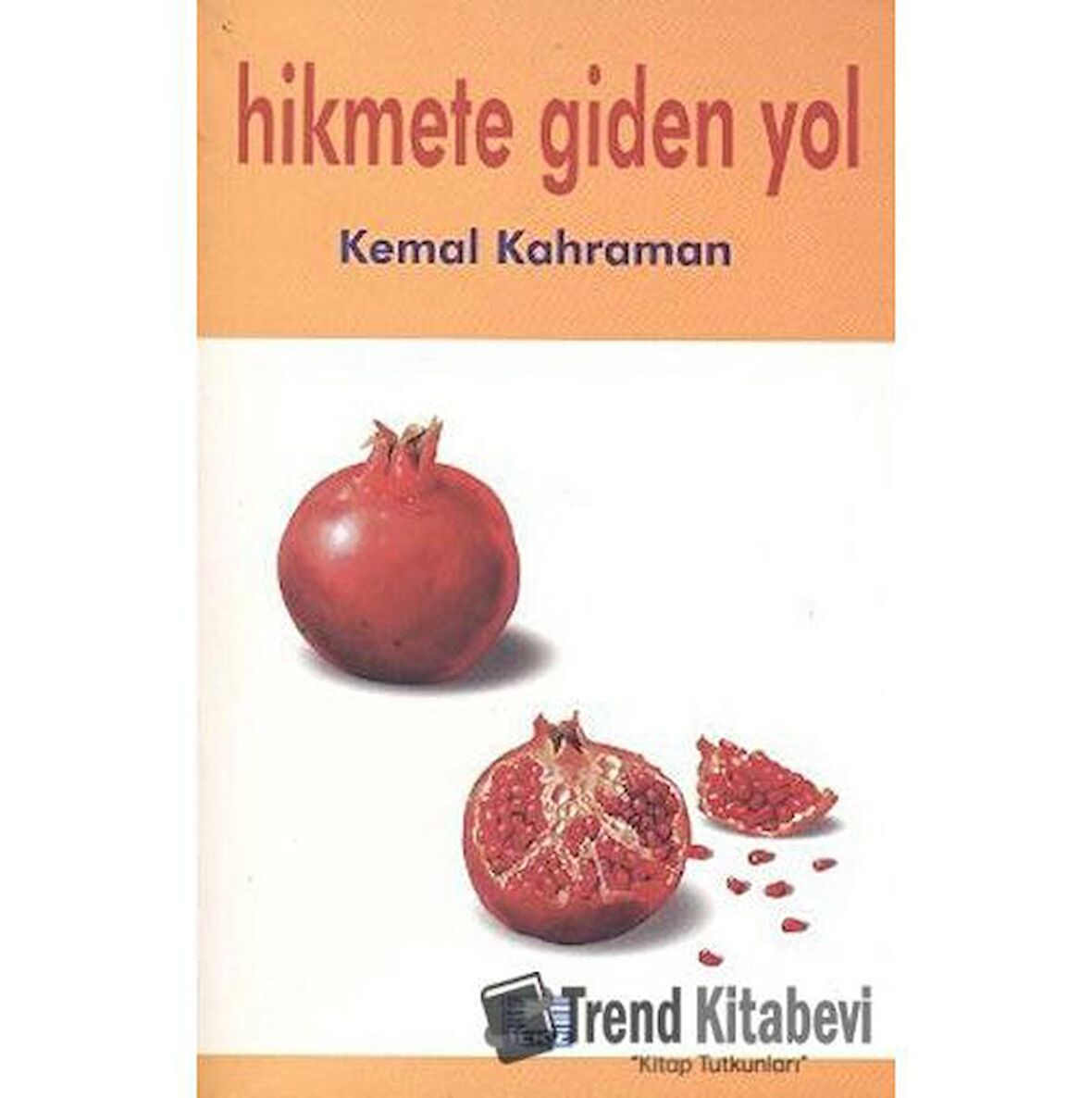 Hikmete Giden Yol