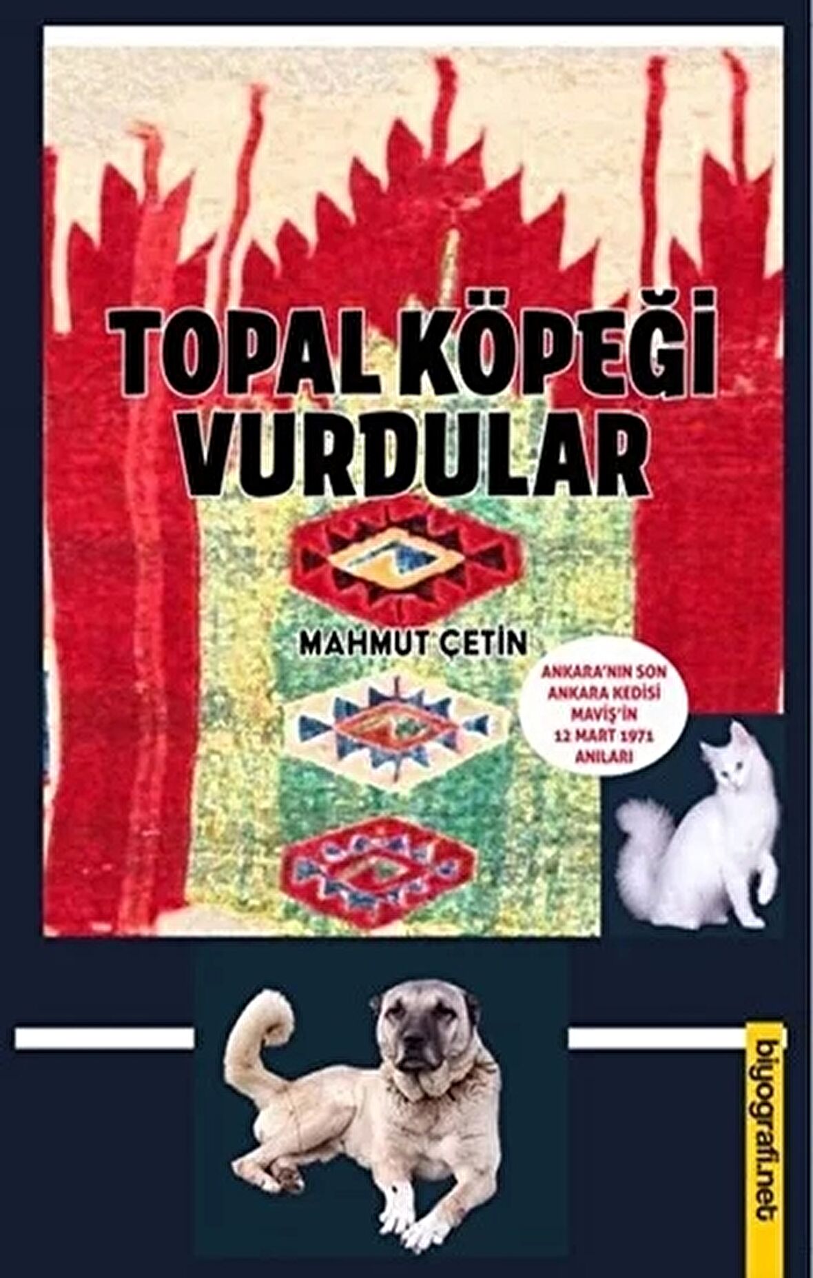 Topal Köpeği Vurdular