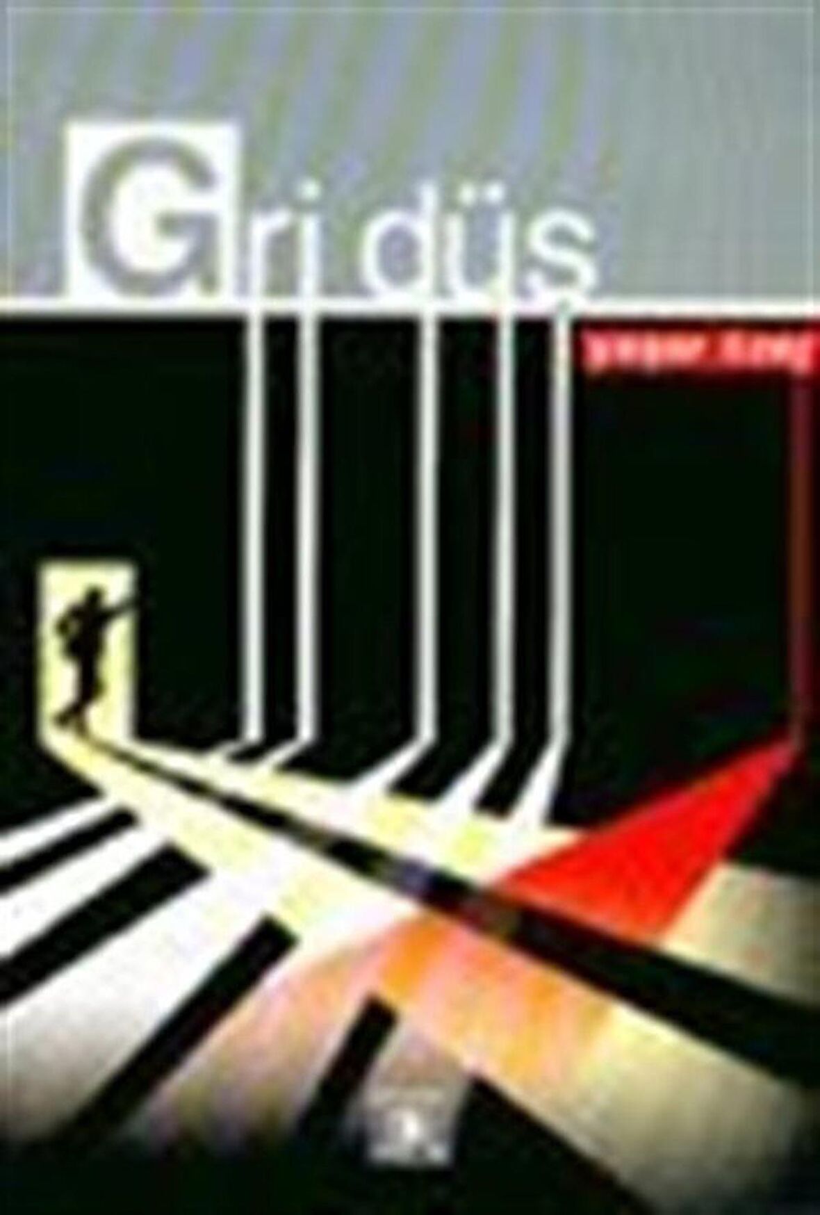 Gri Düş / Yaşar Özer