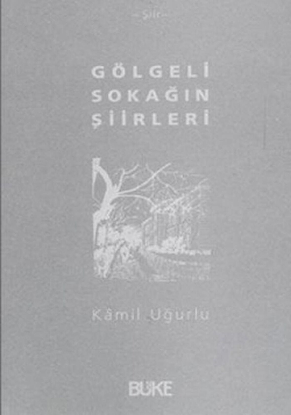 Gölgeli Sokağın Şiirleri