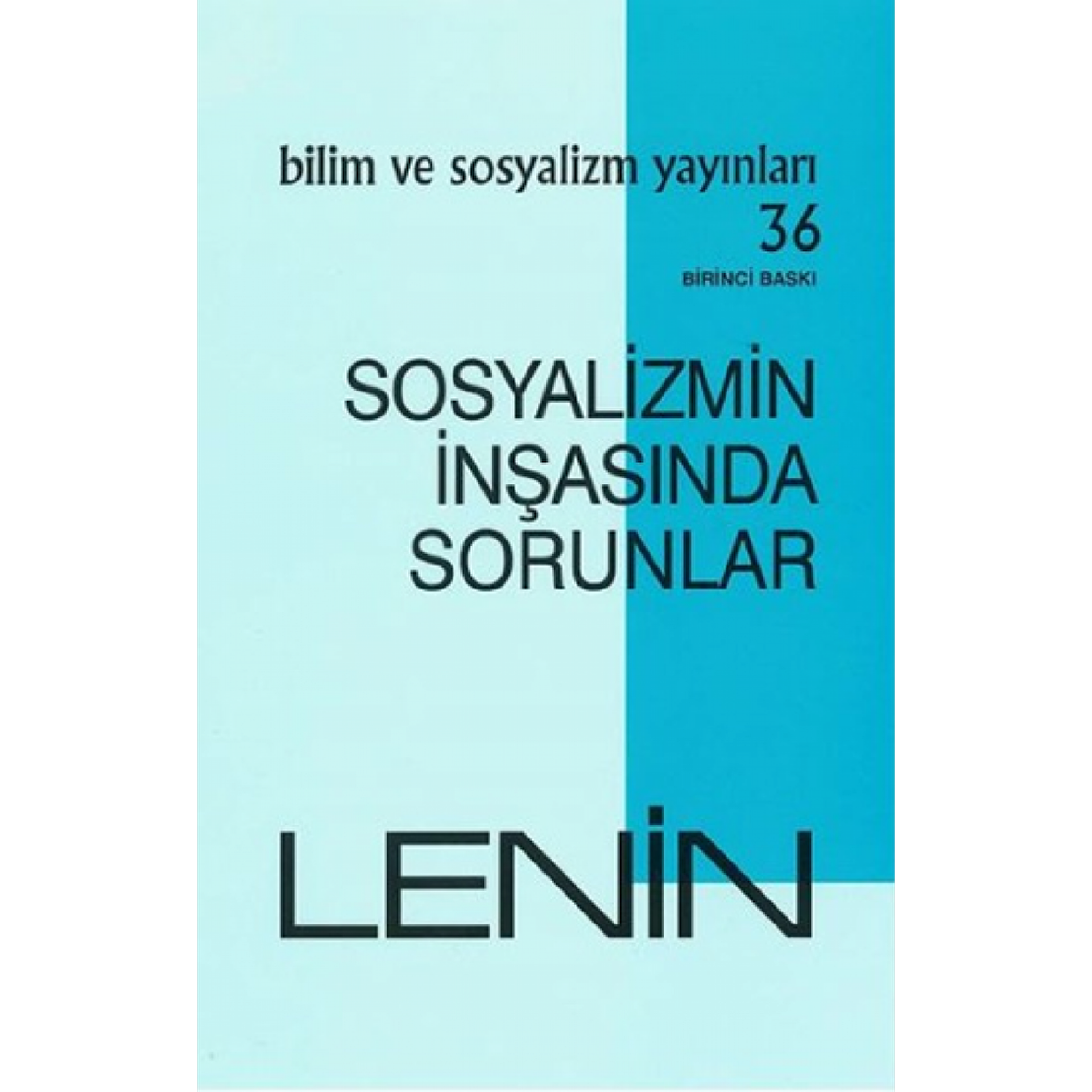 Sosyalizmin İnşasında Sorunlar