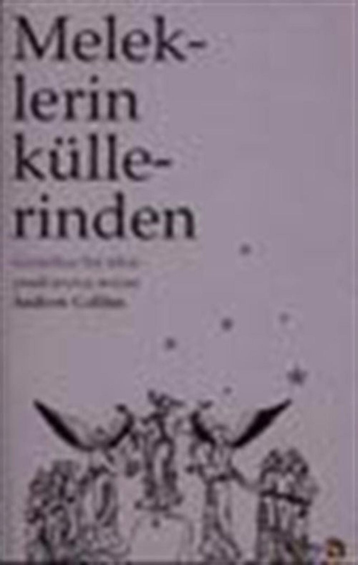 Meleklerin Küllerinden Günahkar Bir Irkın Mirası / Andrew Collins
