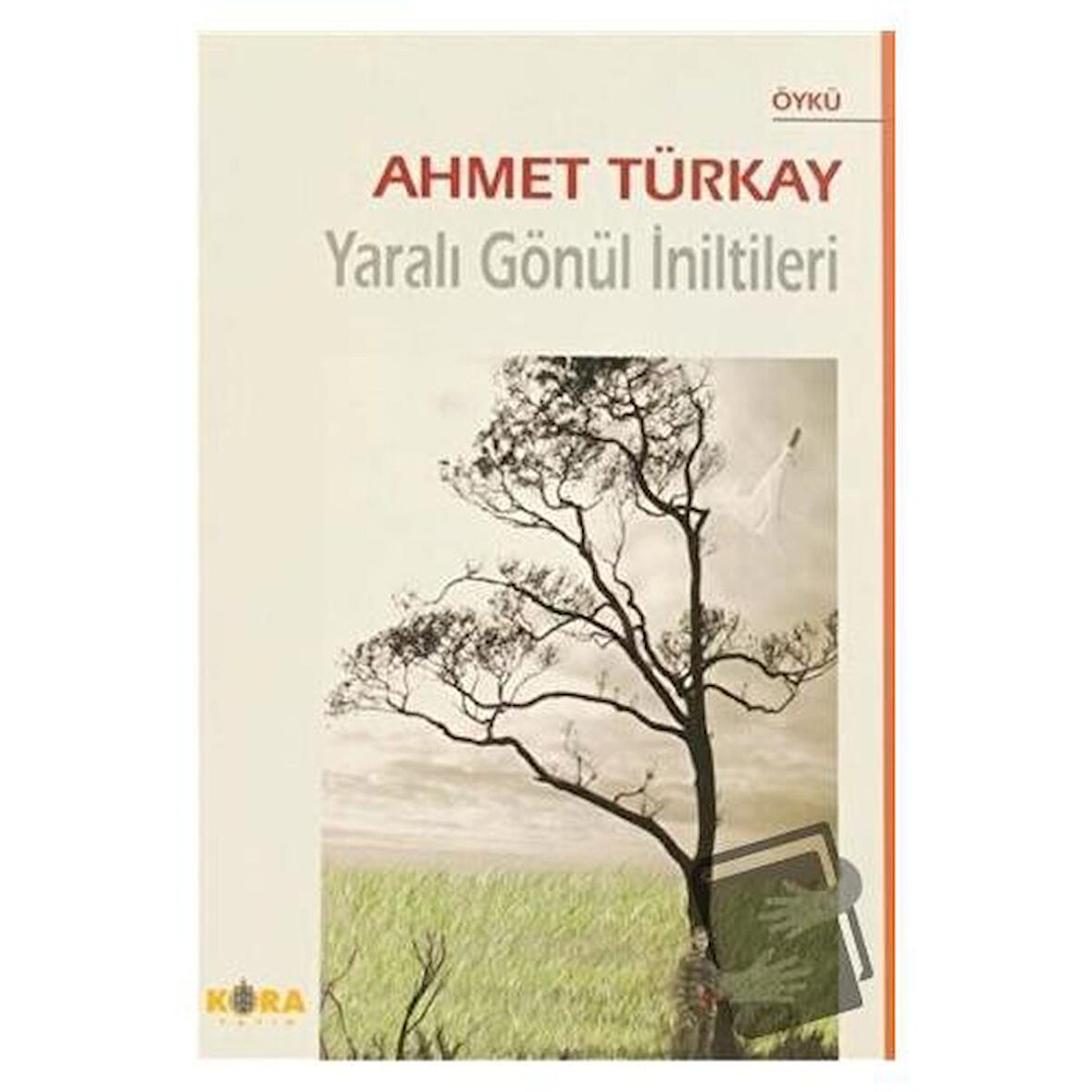 Yaralı Gönül İniltileri / Kora Yayın / Ahmet Türkay