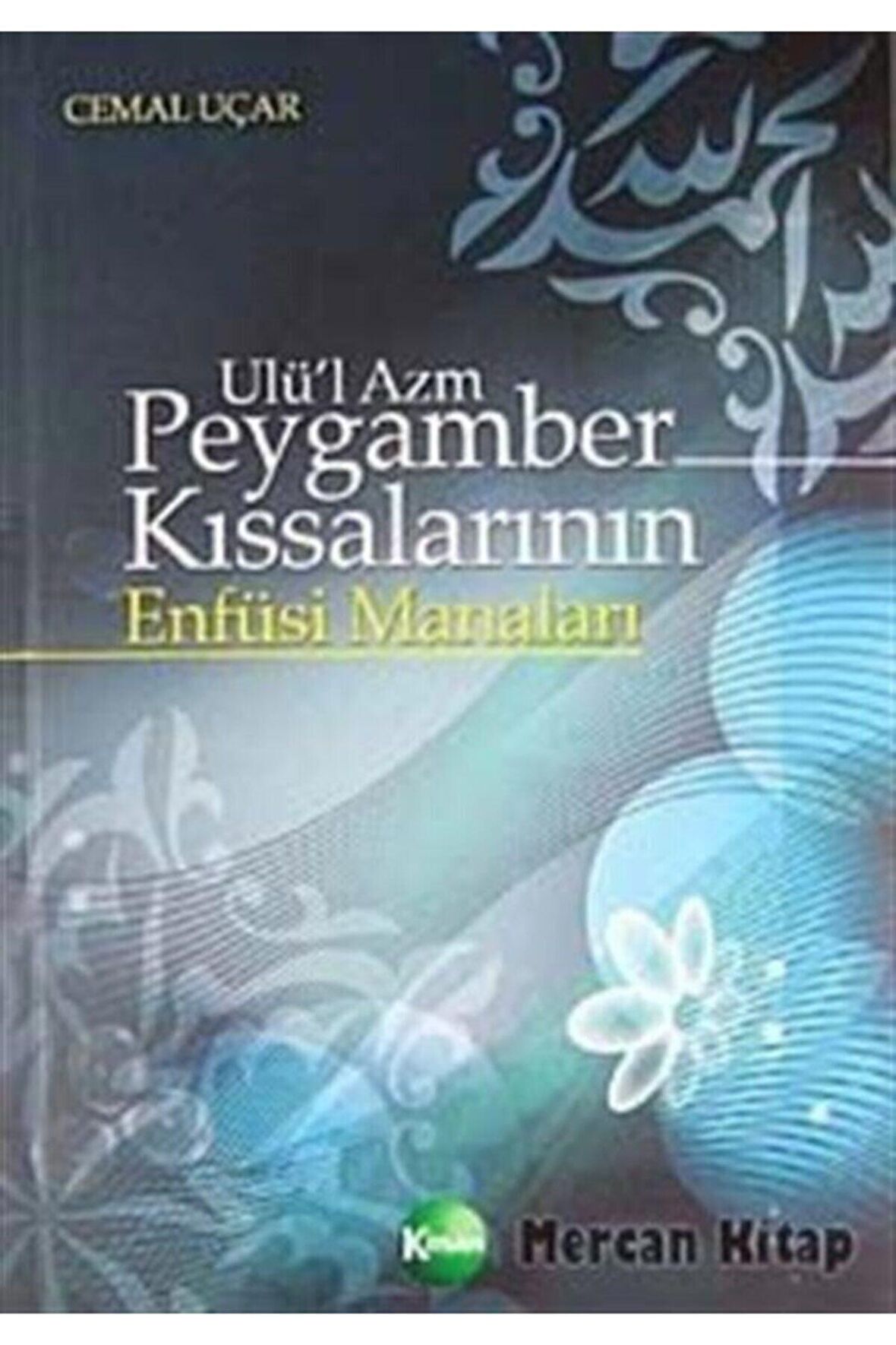 Ulü'l Azm Peygamber Kıssalarının Enfüsi Manaları