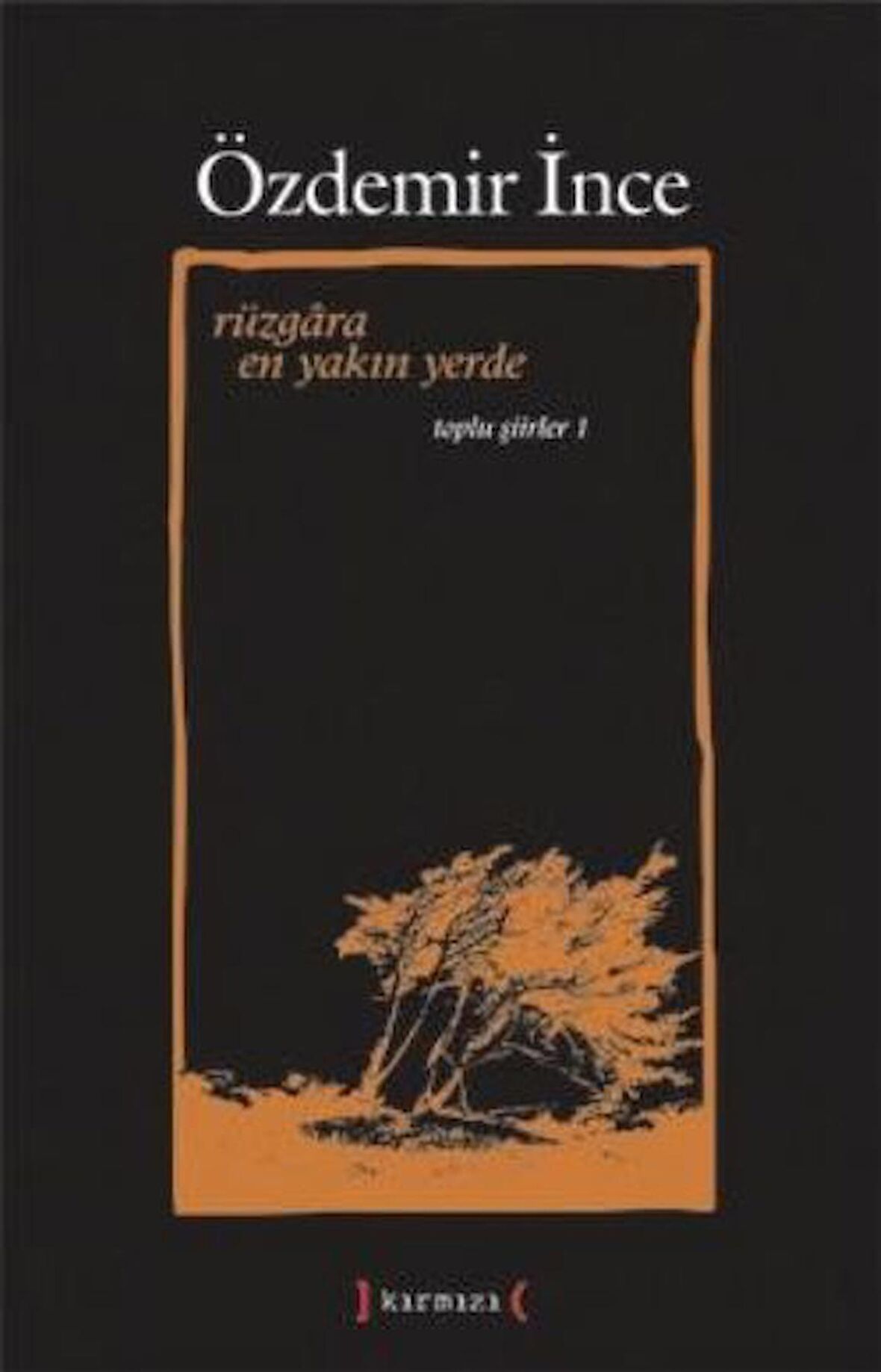 Rüzgara En Yakın Yerde: Toplu Şiirler 1