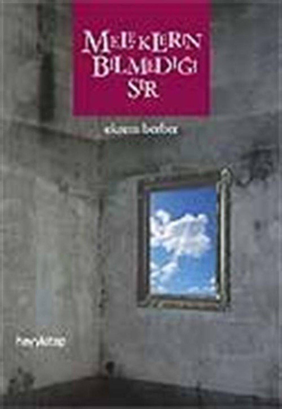 Meleklerin Bilmediği Sır