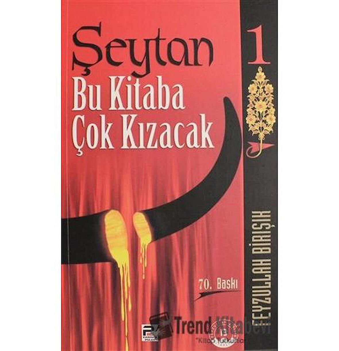 Şeytan Bu Kitaba Çok Kızacak 1