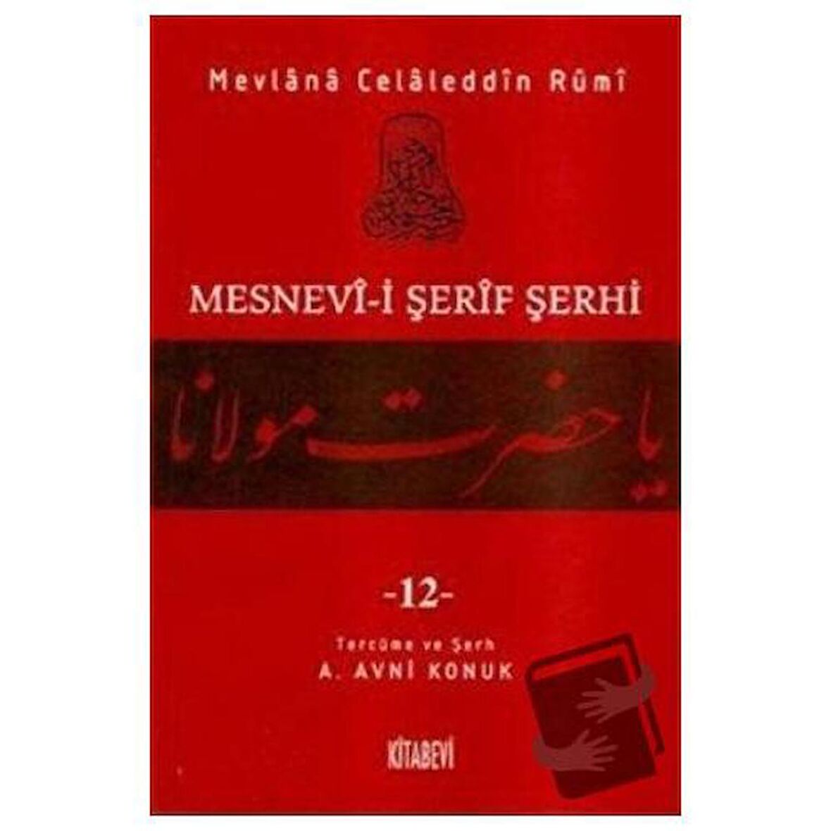 Mesnevi-i Şerif Şerhi Cilt: 12