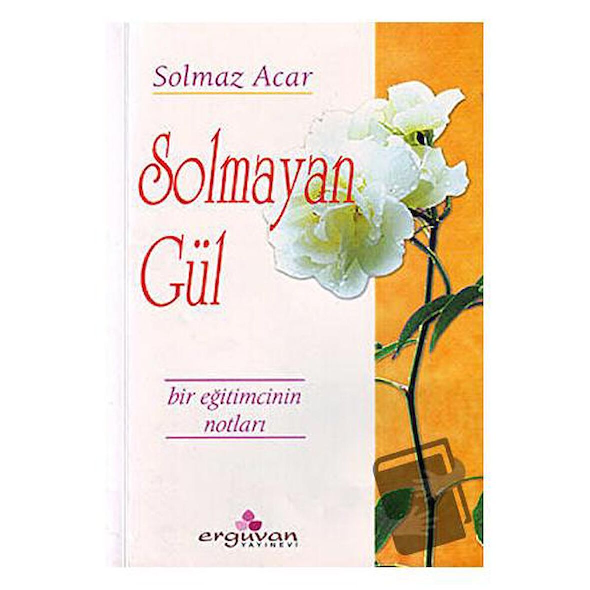 Solmayan Gül