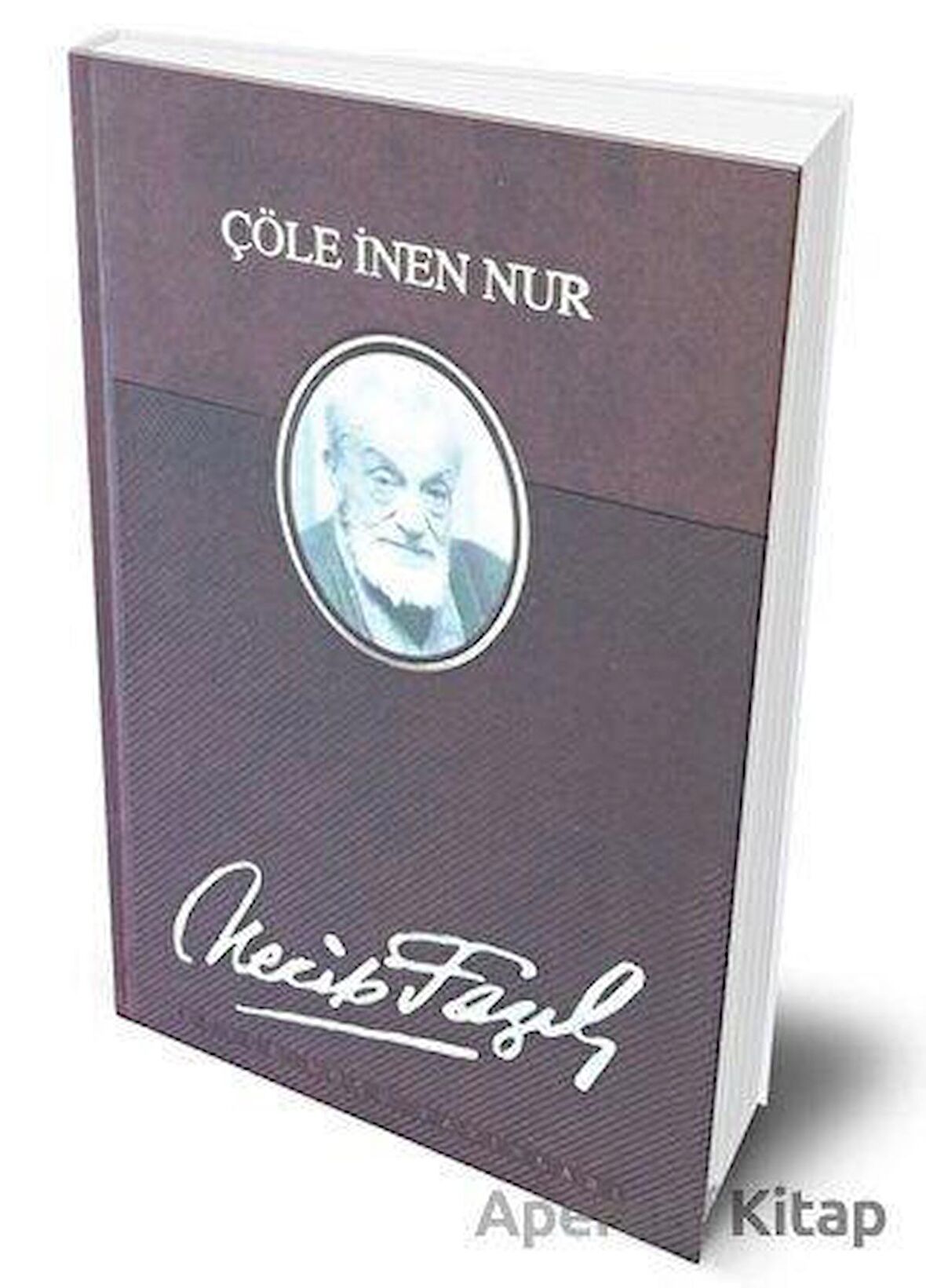 Çöle İnen Nur (Deri Cilt)